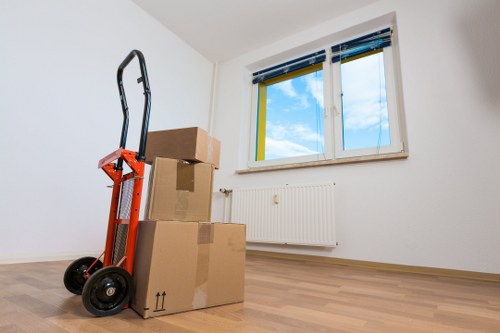 Practical storage use for moving, renovating, and decluttering